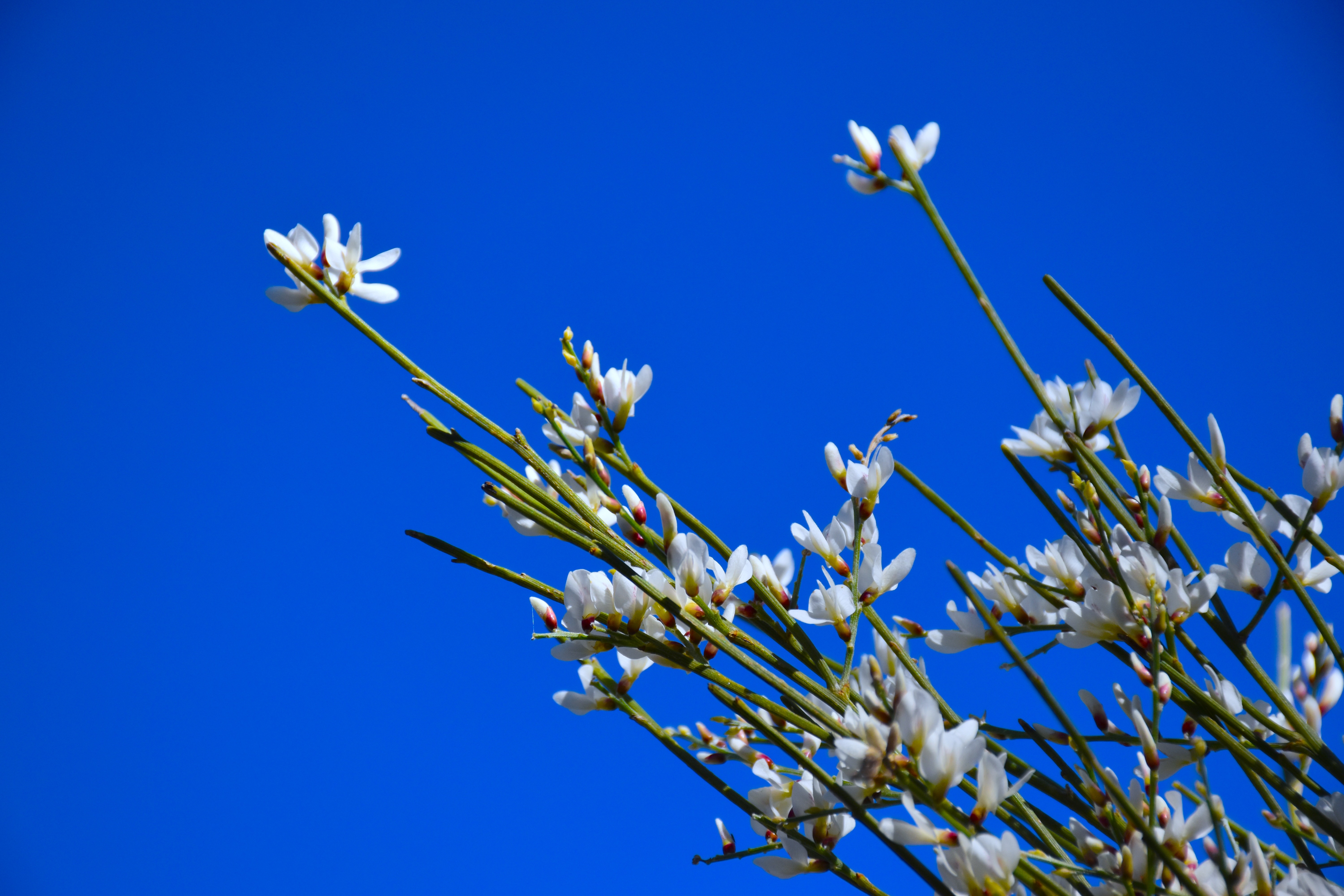 Poesía Visual — photo 13